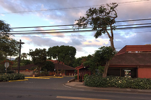 Haleiwa Branch Driveway