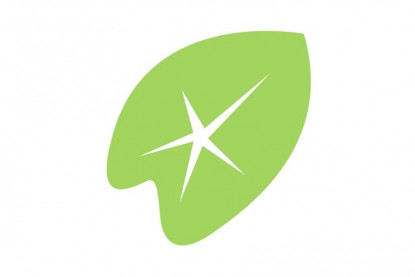 American Savings Bank Kalo Leaf