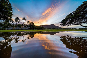 Cameron Brooks' Diamond Head Flood Puddle Sunrise Art