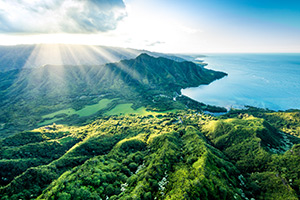 Cameron Brooks' Kahana Bay Light Rays Art