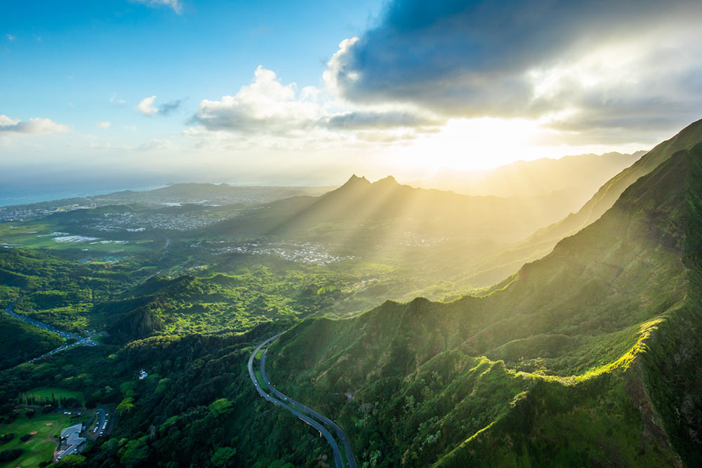 Cameron Brooks' Pali Rays Art