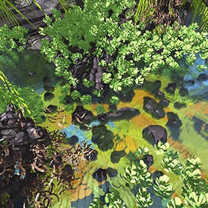 Stephen Yuen's Kona Anchialine Pool Art