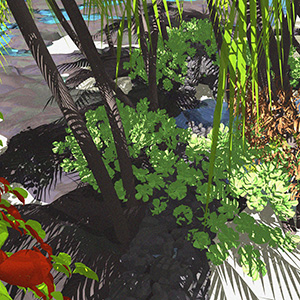 Stephen Yuen's Kona Brackish Water Art