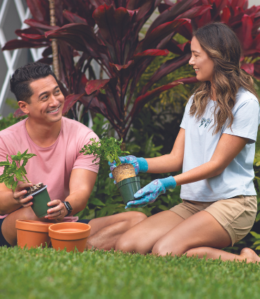 Couple gardening