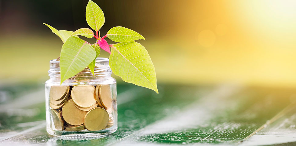 growing tree with money in a jar
