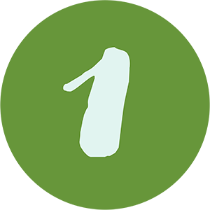 Icon 1