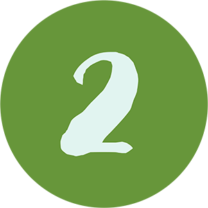Icon 2