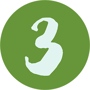 Icon 3