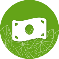 Green cash icon