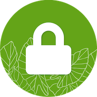 Lock Icon