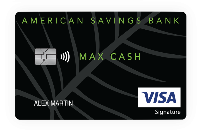 Visa Max Cash Preferred Card Art