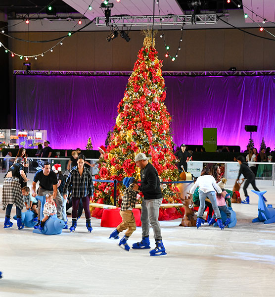 Twas the light ice skating rink