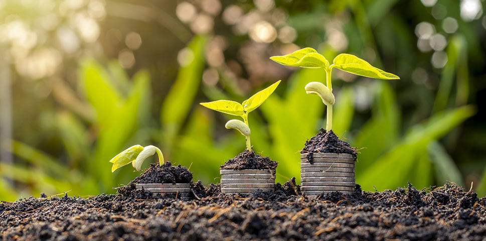 Growing money