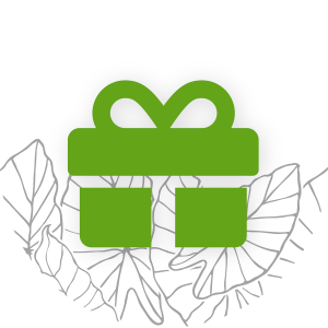 gift icon