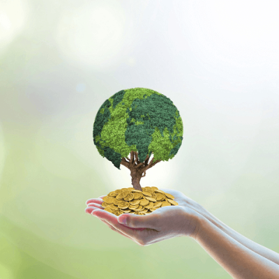 hands holding tree and money